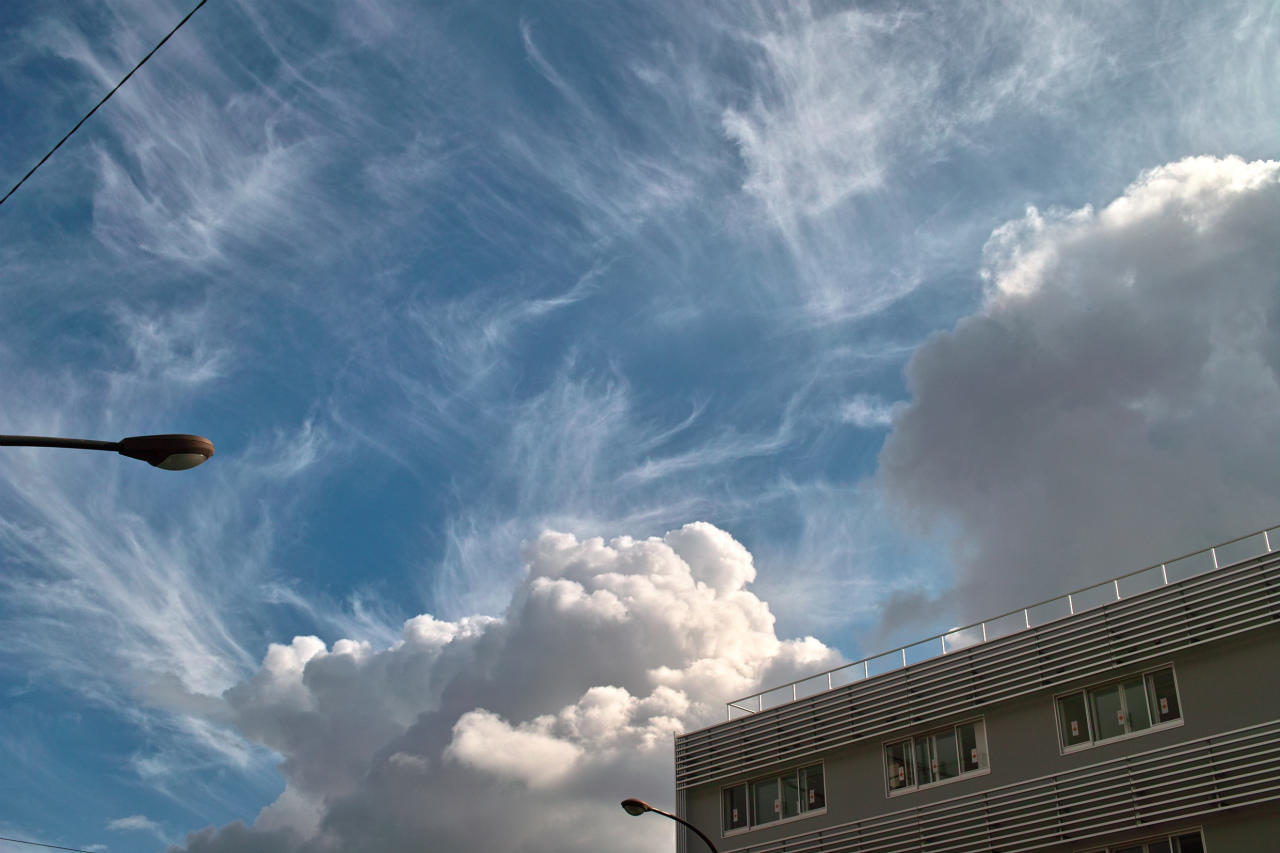 d0104210_11285862.jpg