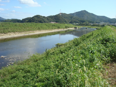 d0066515_14535389.jpg