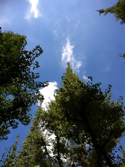 e0156222_12221568.jpg