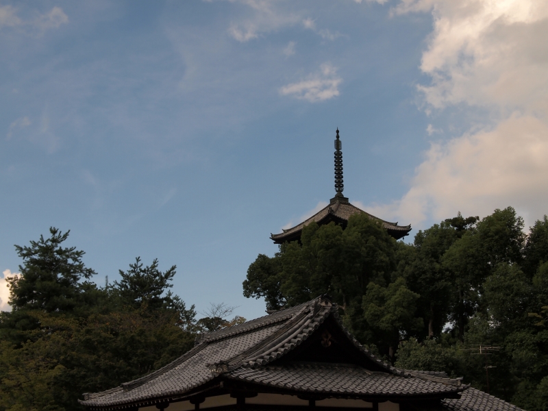 d0252924_11392879.jpg