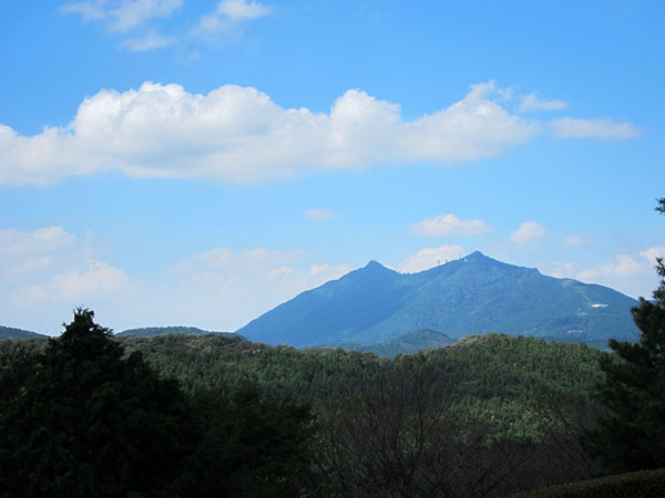 f0147025_20342811.jpg