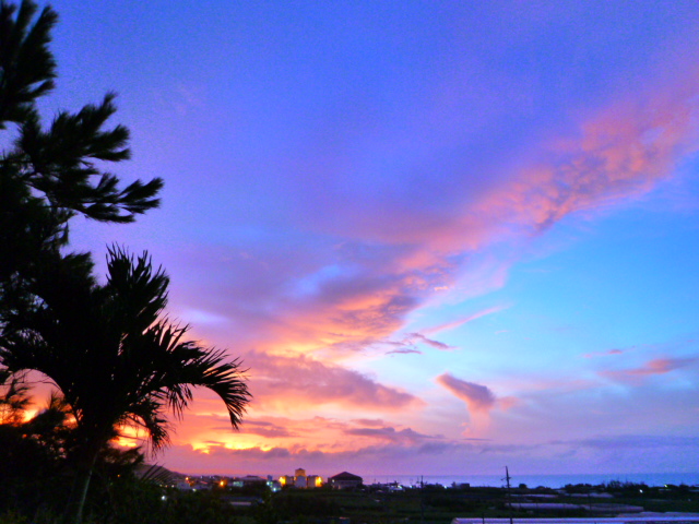 e0002927_637836.jpg