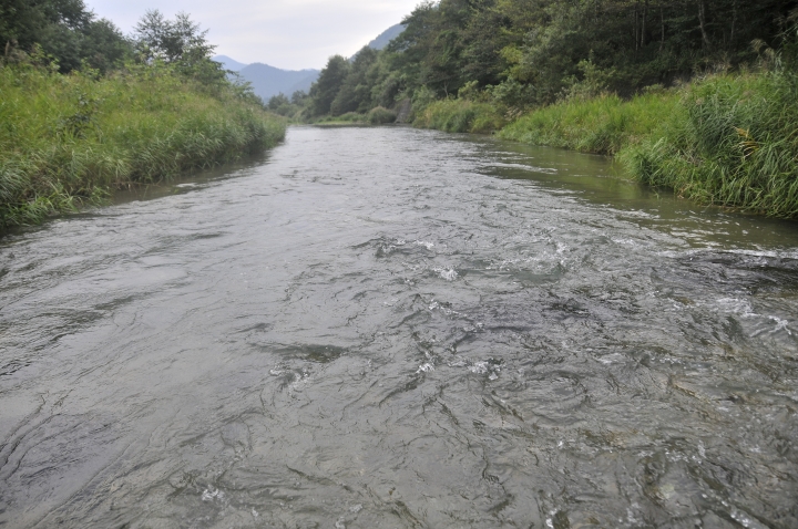 c0133133_1753460.jpg