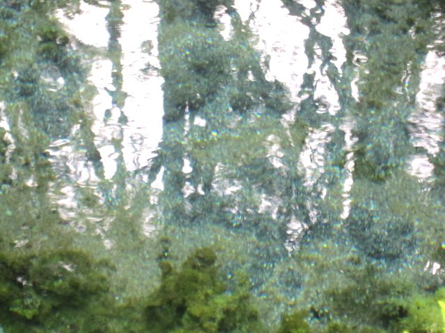 d0088735_144820.jpg