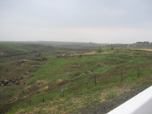 d0088735_147057.jpg