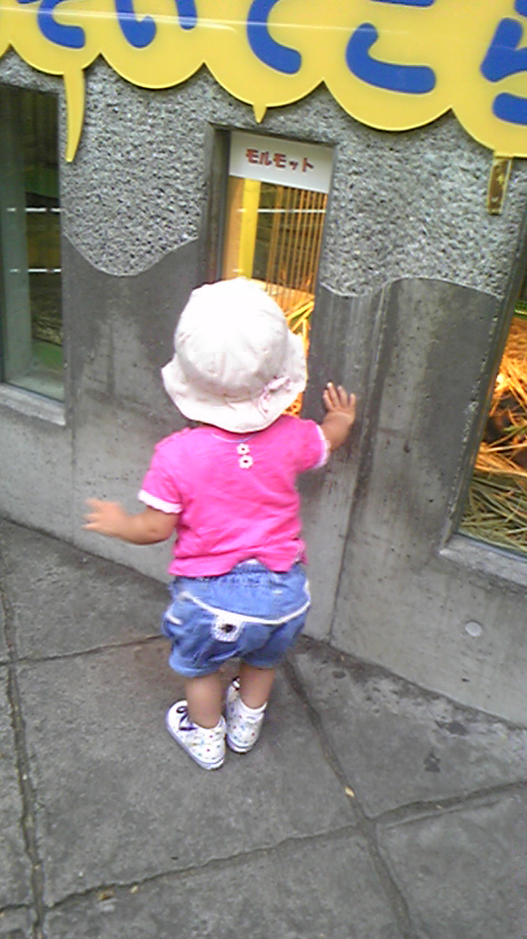 a0152736_20493764.jpg