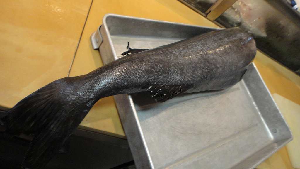 f0208737_8275052.jpg