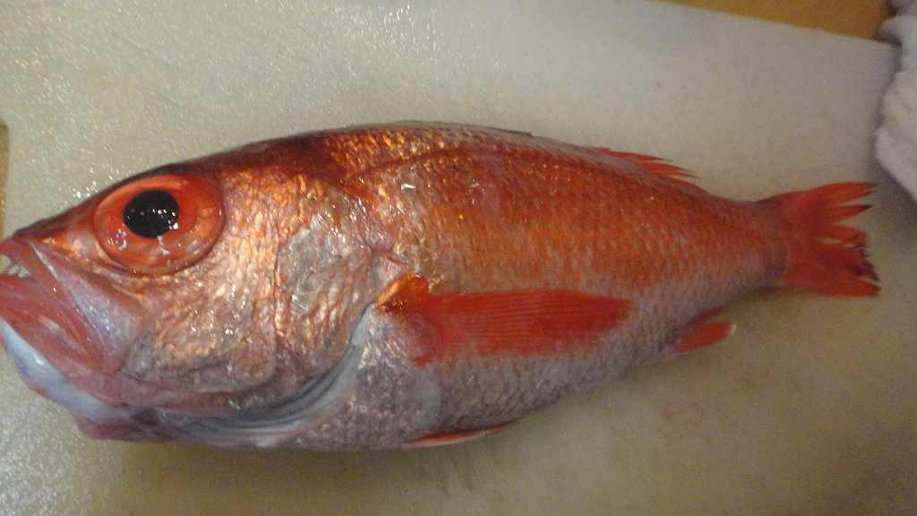 f0208737_8314885.jpg
