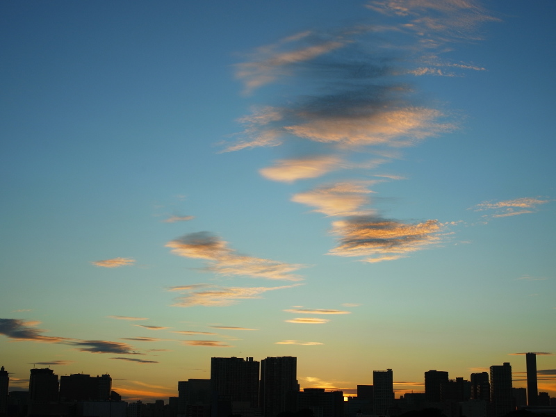b0190242_2302450.jpg