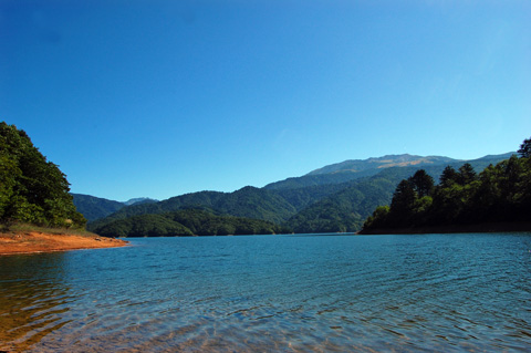 d0164443_22333462.jpg