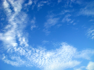 e0189044_0525369.jpg