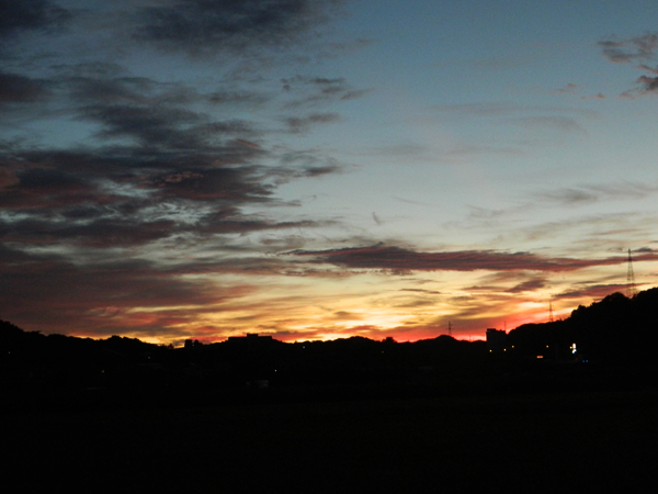 f0214649_40109.jpg