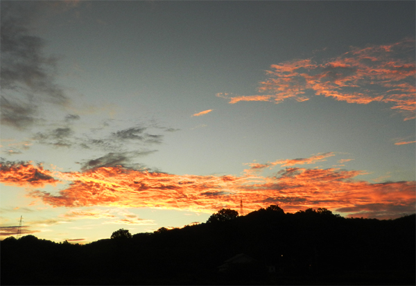 f0214649_45630.jpg