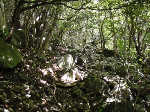 c0179351_953373.jpg
