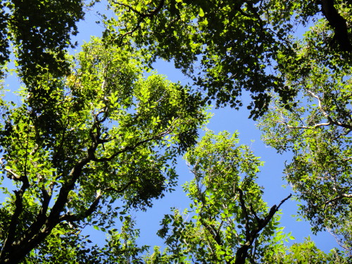 c0179351_964239.jpg