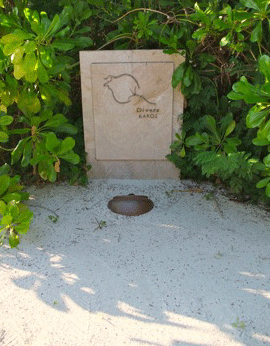 f0190653_21584182.gif