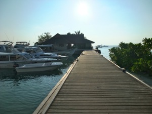 f0190653_21584560.jpg