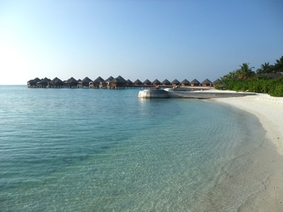 f0190653_21585582.jpg