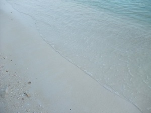 f0190653_21591669.jpg