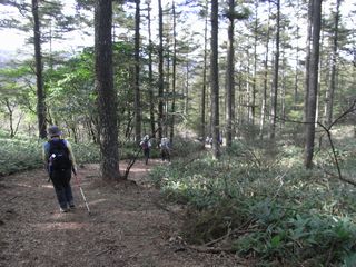 a0189255_10352482.jpg