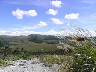 a0189255_1035560.jpg