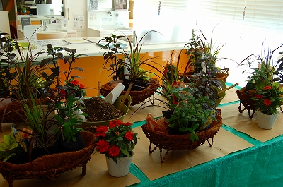 e0025655_61765.jpg