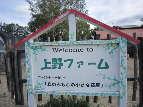 d0194759_21211331.jpg