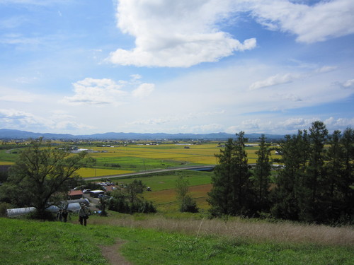 d0194759_21383042.jpg