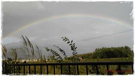 a0211669_16152132.gif