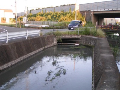 c0112172_23274741.jpg
