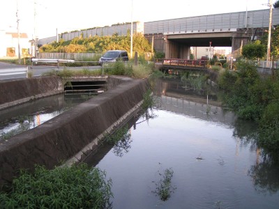 c0112172_23275867.jpg