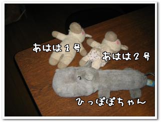 f0204072_23311776.jpg