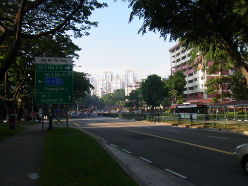 a0002177_1332359.jpg