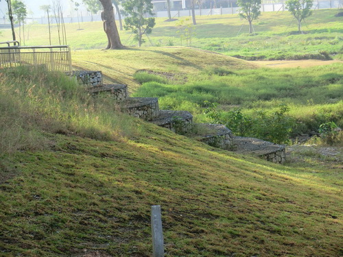 a0002177_179087.jpg