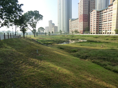 a0002177_1791086.jpg