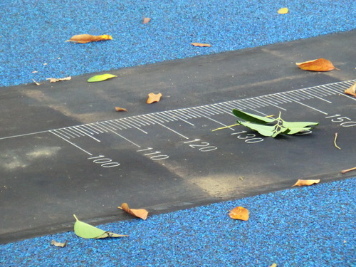 a0002177_18141824.jpg