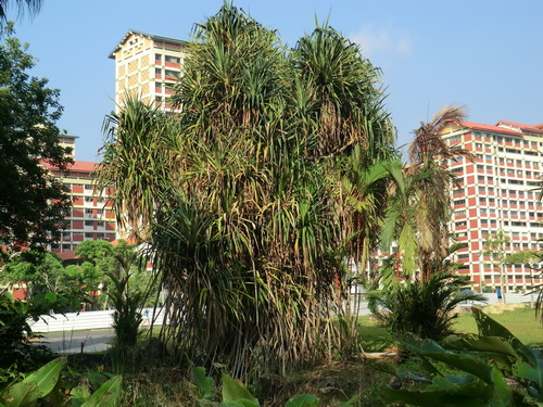a0002177_18153044.jpg