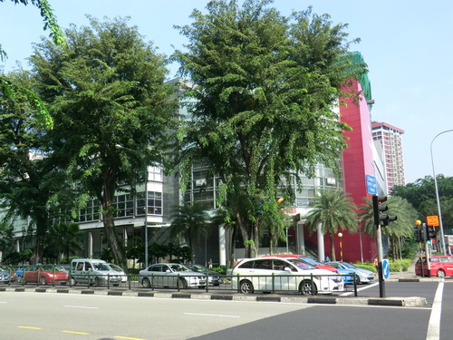a0002177_1834165.jpg