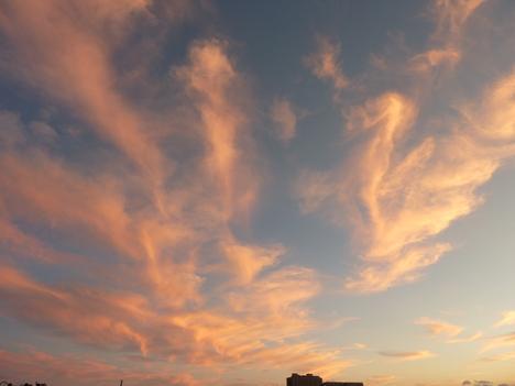 e0207477_955928.jpg