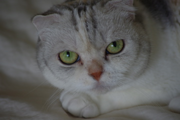 f0054677_9354983.jpg