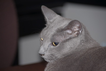 f0054677_9364076.jpg