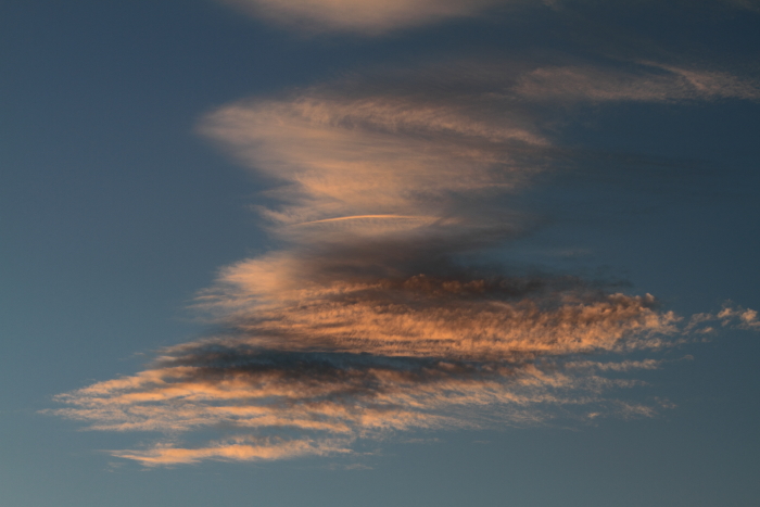 c0008378_21394086.jpg