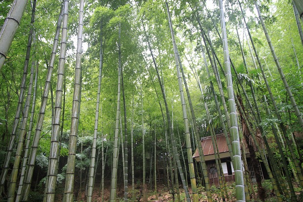 f0238184_22432162.jpg