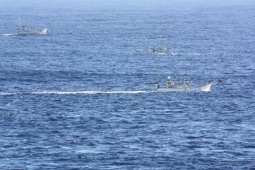c0204385_2052136.jpg