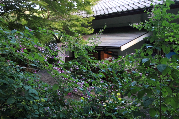 e0051888_23472657.jpg