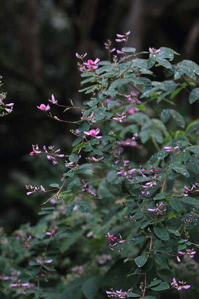 e0051888_2347560.jpg
