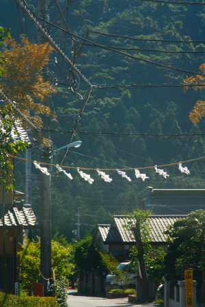 d0133693_21265619.jpg