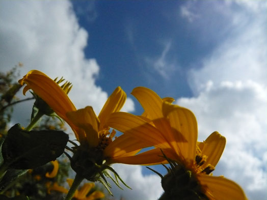 c0124998_2040352.jpg