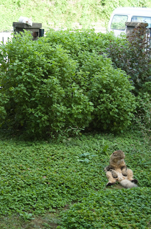 f0239100_1141616.jpg