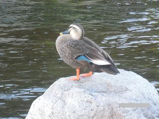 e0144903_12372143.jpg
